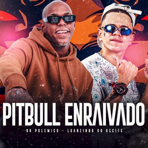 Обложка для Luanzinho do Recife feat. Oh polêmico - Pitbull Enraivado