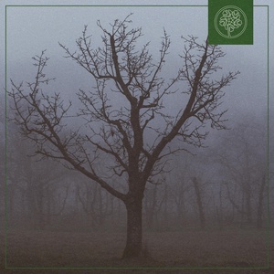 Обложка для Moderator, NK Music, Beats for Trees - Misty Woods
