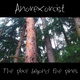 Обложка для Anorexorcist - Someday