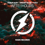 Обложка для Yusuf Alev, Sneaky Ollie, TULE - Afterhours [vk.com/music_for_youtube]