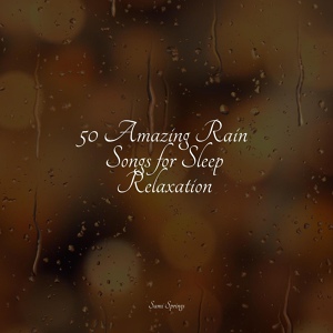 Обложка для Música Zen Relaxante, Rain, Massage - River, Strong Flow, Forest
