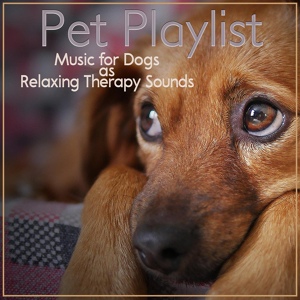 Обложка для Dog Music Zone - Relax My Dog