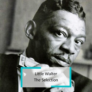 Обложка для Little Walter, Willi Dixon - Blues with a Feeling