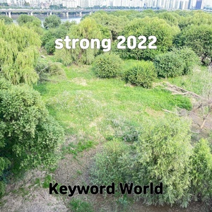 Обложка для Keyword World - strong 2022