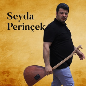 Обложка для Seyda Perinçek - Erdalê Pirsûsî