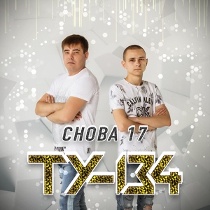 Обложка для ТУ-134 - Белая зима