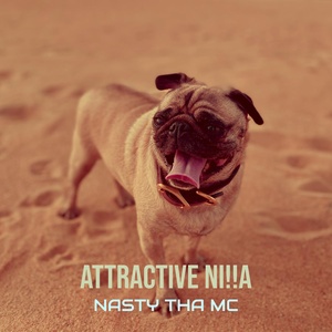 Обложка для Nasty Tha Mc - Attractive Ni!!A