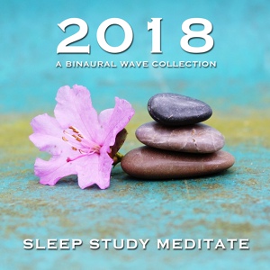 Обложка для Deep Sleep Delta Waves, Mindfulness Meditation World, Study Alpha Waves - Binaural Mindfulness