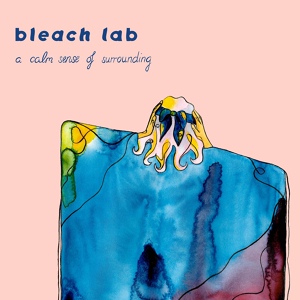 Обложка для Bleach Lab - Never Be
