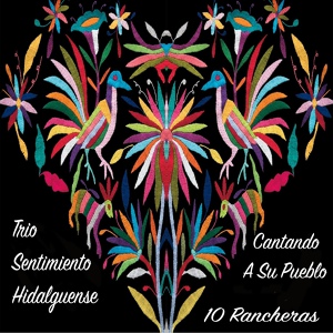 Обложка для Trio Sentimiento Hidalguense - Ojitos Verdes