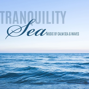 Обложка для Sea Tranquility Academy - Inflow