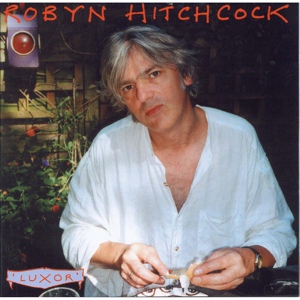 Обложка для Robyn Hitchcock - Round Song