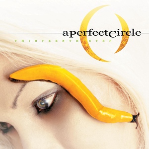 Обложка для A Perfect Circle - Blue