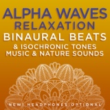 Обложка для Binaural Beats Research, David & Steve Gordon - Mindfulness Throughout the Day - 9.1 Hz Alpha Frequency Binaural Beats