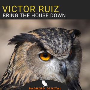 Обложка для Victor Ruiz - Bring The House Down (Vogue Remix)