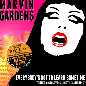 Обложка для MARVIN GARDENS - Everybody's Got to Learn Sometime