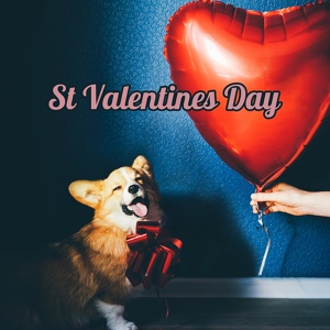 Обложка для HeartDrumMachine - St Valentines Day