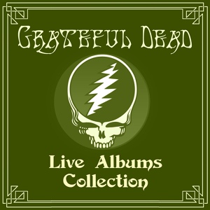 Обложка для Grateful Dead - The Race Is On