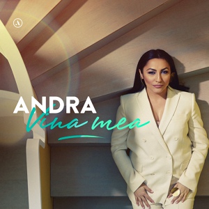 Обложка для Andra - Vina Mea