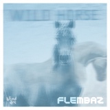 Обложка для Flembaz - Wild Horse (Part I)    ๖ۣۜ[  Techno   /   Minimal / Deep /  Tech  ]