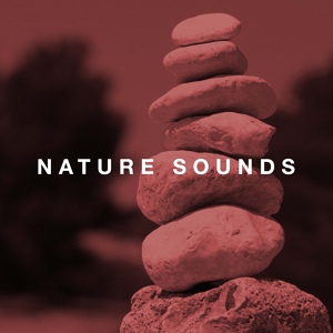 Обложка для Nature Sounds Nature Music - Asian Zen Spa Music Meditation