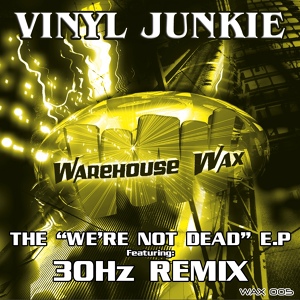 Обложка для Vinyl Junkie - We're Not Dead