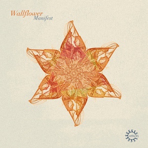 Обложка для Wallflower - Manifest