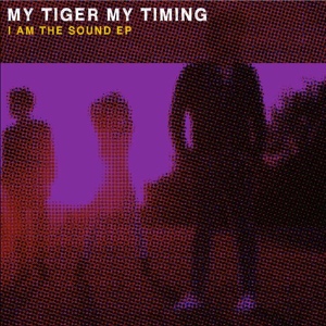 Обложка для My Tiger My Timing - This Is Not the Fire