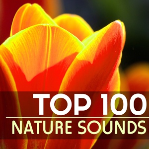 Обложка для Nature Sounds Spa Therapy - Tinnitus Relief