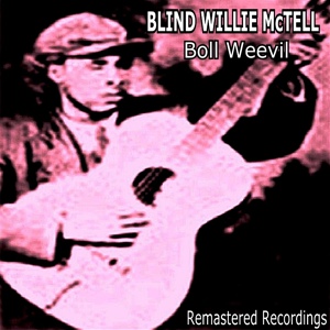Обложка для Blind Willie McTell - Delia