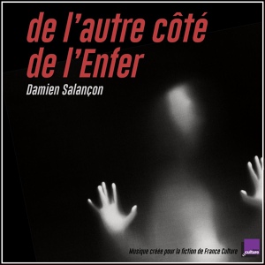 Обложка для Damien Salançon - Dangerous Plot
