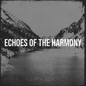 Обложка для Dj VITA GEMOY - Echoes the Harmony