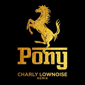 Обложка для de Kraaien - Pony (Charley Lownoise Remix)