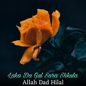 Обложка для Allah Dad Hilal - Da Hussan De Sifat Kre Gran Habiba Kitabona