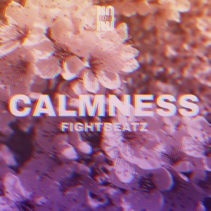Обложка для FIGHTBEATZ - CALMNESS