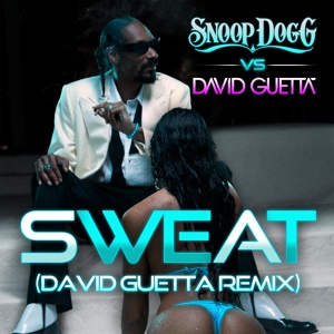 Обложка для Snoop Dogg feat. David Guetta - Wet (Snoop Dogg Vs. David Guetta)