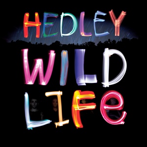 Обложка для Hedley - Got Love