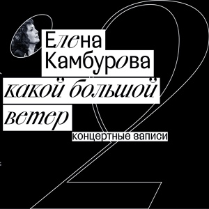 Обложка для Елена Камбурова - Камин