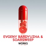 Обложка для Evgeny Bardyuzha & Soarsweep feat. Manon Polare feat. Manon Polare - Ceaseless