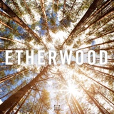 Обложка для Etherwood - Unfolding (feat. Laurelle Robichaud)