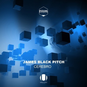 Обложка для James Black Pitch - Poma