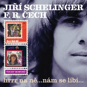 Обложка для Jiří Schelinger, Skupina Františka Ringo Čecha - Tak Ahoj, Mini