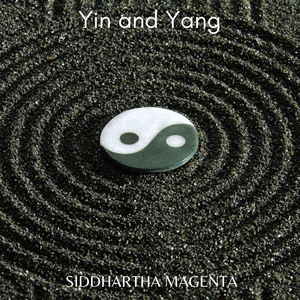Обложка для Siddartha Magenta - Jing