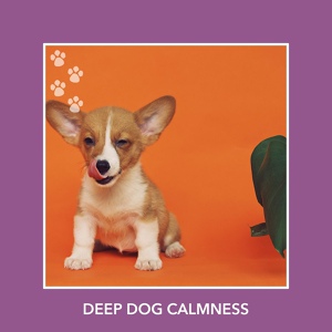 Обложка для Relaxing Dog Music - Fresh Connection