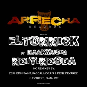 Обложка для Eltonnick feat. NaakMusiQ - Ndiyindoda
