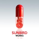 Обложка для Sunbird - They Accept Paradise (Radio Mix)