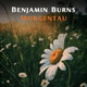 Обложка для Benjamin Burns - In Essence