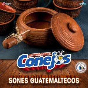 Обложка для Internacionales Conejos - Virgen María