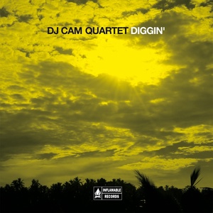 Обложка для DJ Cam Quartet - Mystic Brew