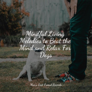 Обложка для Relaxmydog, Pet Care Music Therapy, Music for Calming Dogs - Meditating Music